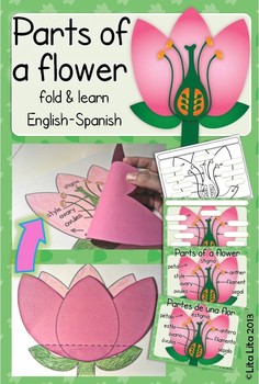 Preview of Parts of a flower fold & learn