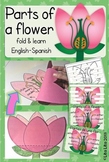 Parts of a flower fold & learn