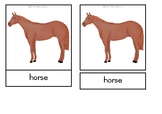 Parts of a horse - Montessori nomenclature cards