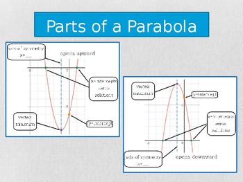 Preview of Parts of a parabola vocabulary diagram