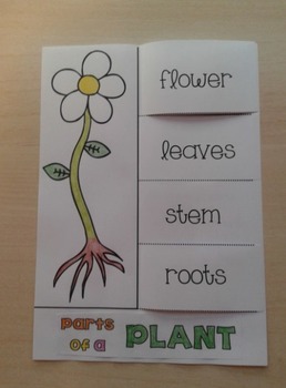 Parts of a plant [Fold & Learn] by My classroom corner | TpT