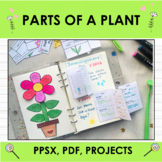 Parts of a plant : Science Elementary