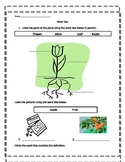 Parts of a plant Test