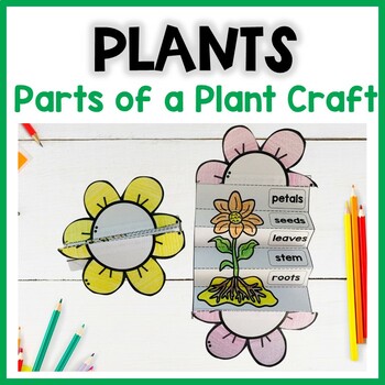 Parts of a plant craft | Flower writing activity by Ms Herraiz | TPT