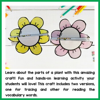 Parts of a plant craft | Flower writing activity by Ms Herraiz | TPT