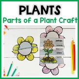 Parts of a plant craft | Flower writing activity