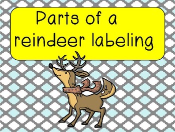 Preview of Parts of a reindeer