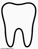 Parts of a tooth - Tooth Template Cut and paste