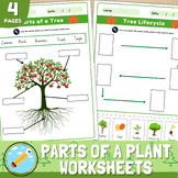 Parts of a tree Labeling Activity | Tree Life Cycle Worksheet