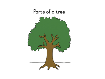 Preview of Parts of a tree nomenclature
