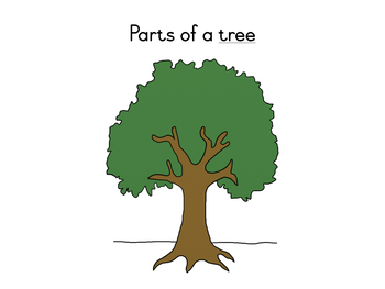 Preview of Parts of a tree definition booklet