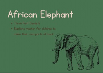 Preview of Parts of an African Elephant Three Part Cards