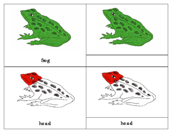 Preview of Parts of an Amphibian - Three Part Cards : Frog