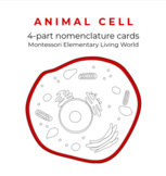 Parts of an Animal Cell - 4 Part Nomenclature Cards