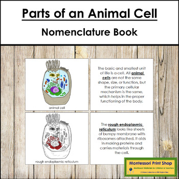 Preview of Parts of an Animal Cell Book (red highlights) - Montessori Nomenclature