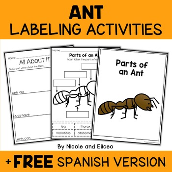 Preview of Parts of an Ant Activities + FREE Spanish