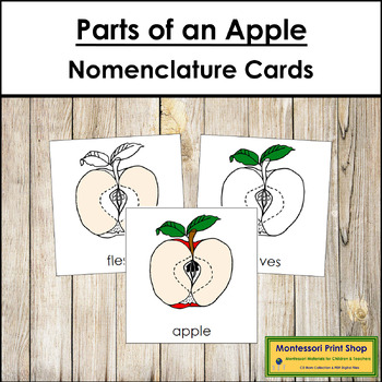 Preview of Parts of an Apple 3-Part Cards - Montessori Nomenclature