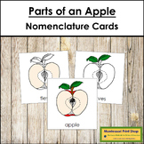 Parts of an Apple 3-Part Cards - Montessori Nomenclature