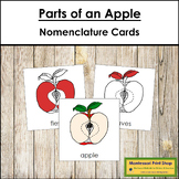 Parts of an Apple 3-Part Cards (red highlights) - Montesso