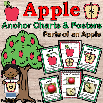 Preview of Parts of an Apple | 30 Posters | Anchor Charts