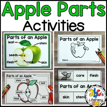 Parts of an Apple Activities by ABC's of Literacy | TPT