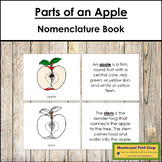 Parts of an Apple Book - Montessori Nomenclature