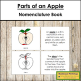 Parts of an Apple Book (red highlights) - Montessori Nomenclature