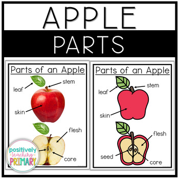 Parts of an Apple Posters | Vertical by Positively Teaching Primary