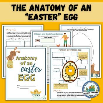 Preview of Parts of an Easter Egg, Fun Middle & High School Spring Break & Easter Activity