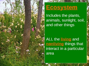 Preview of Principles of Ecology: Presentation and Notes