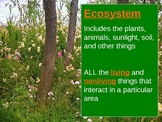 Principles of Ecology: Presentation and Notes