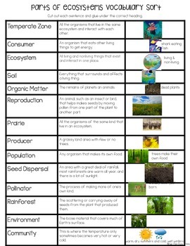 Parts of an Ecosystem Vocabulary Sort by Bow Tie Guy and Wife | TpT