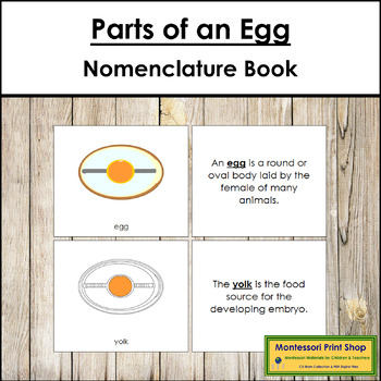 Preview of Parts of an Egg Book - Montessori Nomenclature
