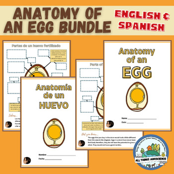 Preview of Parts of an Egg - ENGLISH and SPANISH Bundle