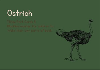 Preview of Parts of an Ostrich Three Part Cards