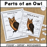 Parts of an Owl Labeling Activities