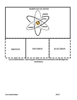 Preview of Parts of an atom vocabulary graphic organizer interactive science notebook