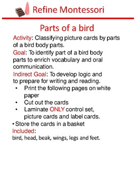 Preview of Parts of a bird