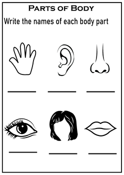 Preview of Parts of body worksheets for preschool