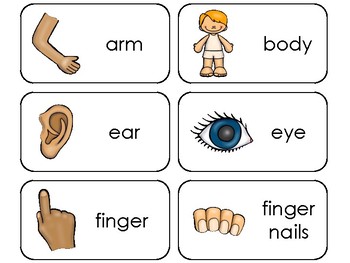 Preview of Parts of My Body Printable Preschool Health Flashcards.
