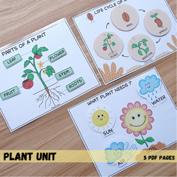 Preview of Parts of plant, lifecycle of plant and its needs