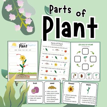 Parts of plant printable activities for Grade 1-3 by School Bus Studio