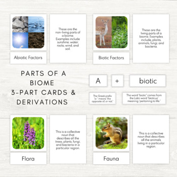 Preview of Parts of the Biome 3-Part Cards and Derivations Freebie