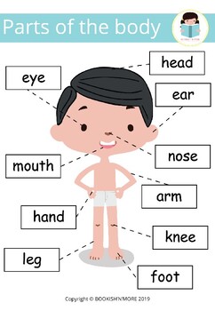 Back Side Body Parts In English / Human Body Parts Pictures with Names