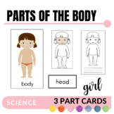 Parts of the Body (Girl) Montessori Three Part Cards and P