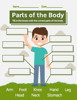 Preview of Parts of the Body - Label Diagram Basic Anatomy Worksheet