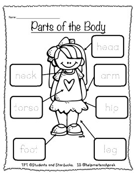 body parts trace teaching resources teachers pay teachers