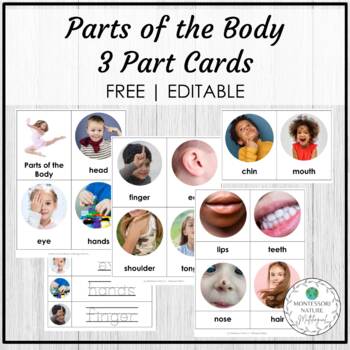 Preview of Parts of the Body Vocabulary 3 Part Cards - Editable Montessori