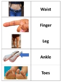 Parts of the Body Vocabulary Activities Bundle