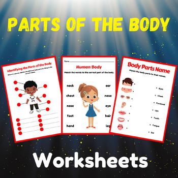 Preview of Parts of the Body Vocabulary - Worksheets, All About My Body, Fun Activities
